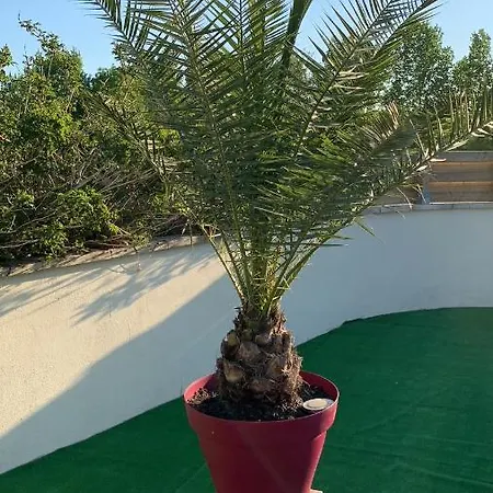 Panzió Naturiste Le Jardin Des Hirondelles 3*