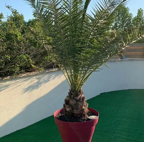 Bed & Breakfast Naturiste Le Jardin Des Hirondelles 3*